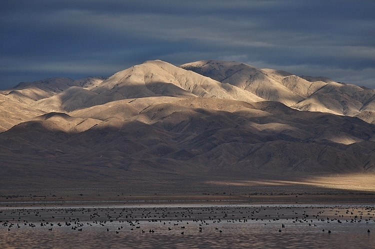 snow-capped mtns closeup